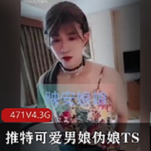 推特可爱男娘伪娘TS精品视频合集471V4.3G