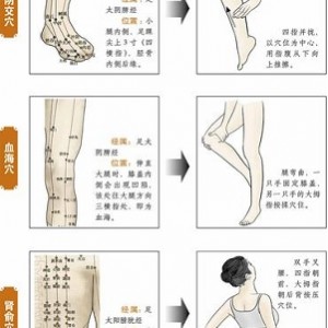 夫妻某处位按摩图典：必学的超值版PDF彩图