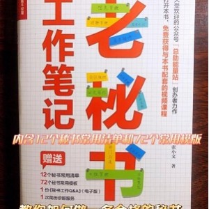 炼成资深老秘书的大手笔公文写作秘笈：工作报告、调研报告、讲话稿