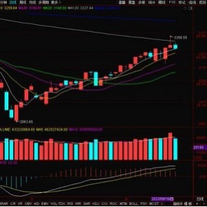 中国金融走势：读懂中国经济下半场