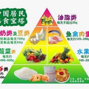 营养圣经：最佳营养学指南