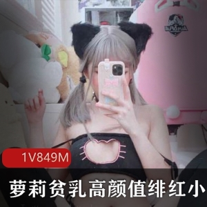 高颜值妹子在飞机场的绯红小猫合集