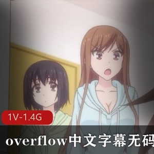 《Overflow》完整版下载观看，动画片中文字幕，无圣光岛国家庭乱来剧